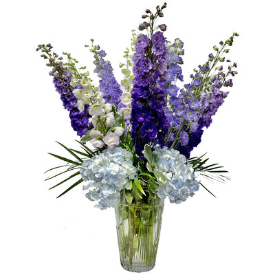 Wisteria from your local Clinton,TN florist, Knight's Flowers